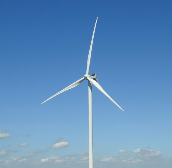 Wind Farm